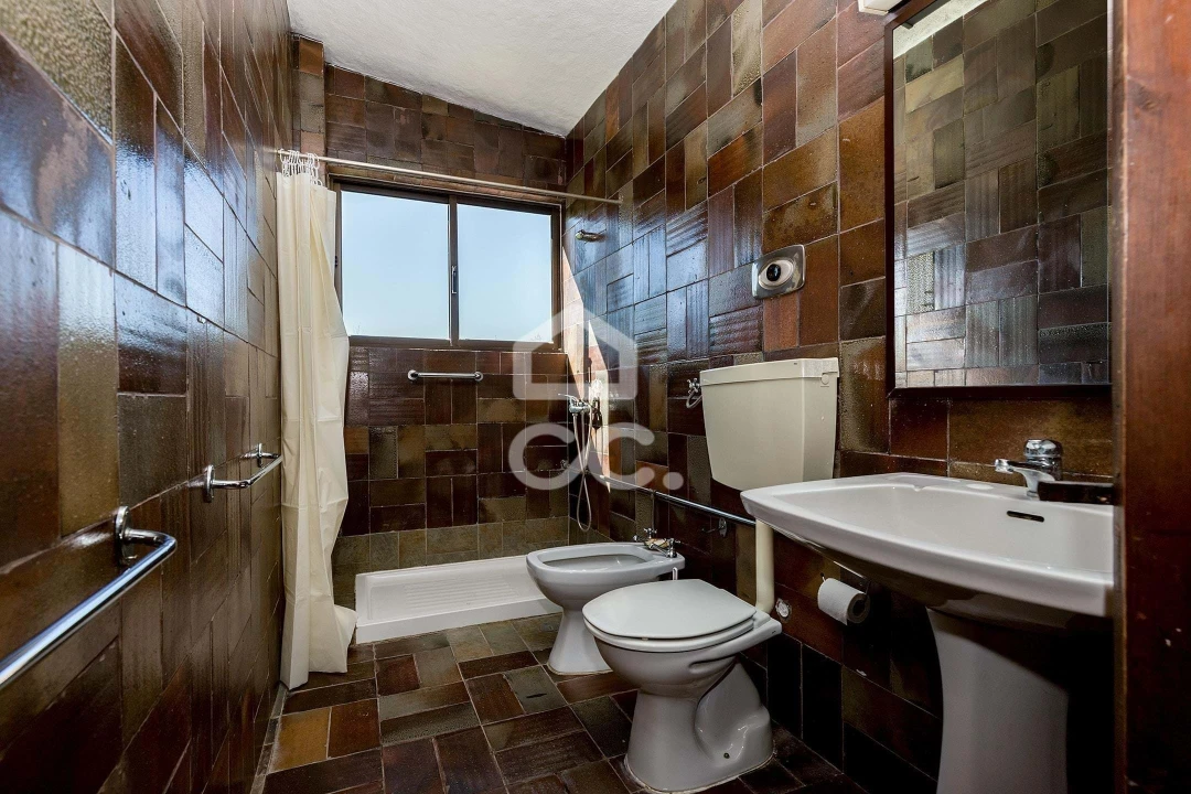 Quinta T10 para Venda em Santo Agostinho e São João Baptista e Santo Amador Foto 33