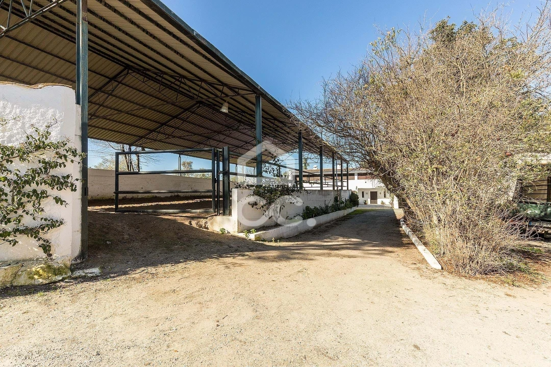 Quinta T10 para Venda em Santo Agostinho e São João Baptista e Santo Amador Foto 70