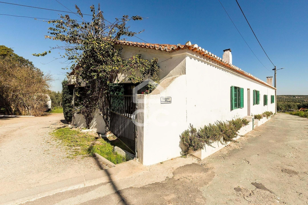 Quinta T10 para Venda em Santo Agostinho e São João Baptista e Santo Amador Foto 79