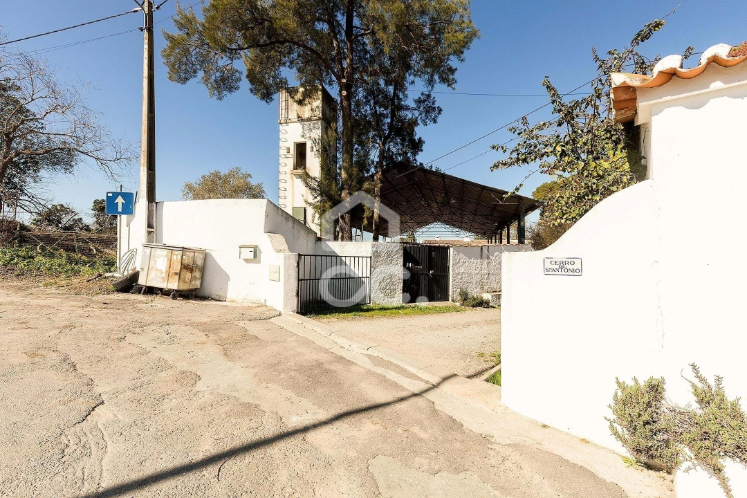 Quinta T10 para Venda em Santo Agostinho e São João Baptista e Santo Amador Foto 106