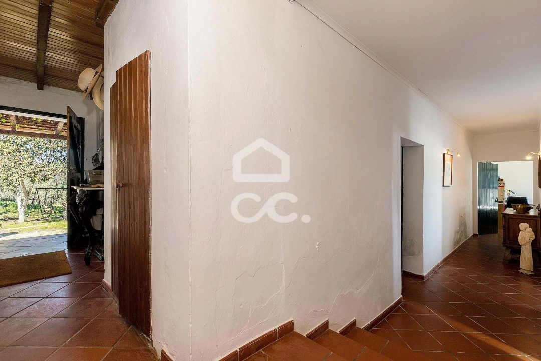 Quinta T10 para Venda em Santo Agostinho e São João Baptista e Santo Amador Foto 56