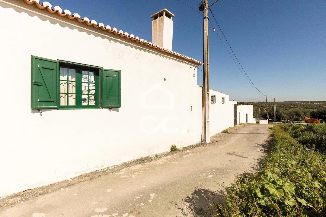 Quinta T10 para Venda em Santo Agostinho e São João Baptista e Santo Amador Foto 105