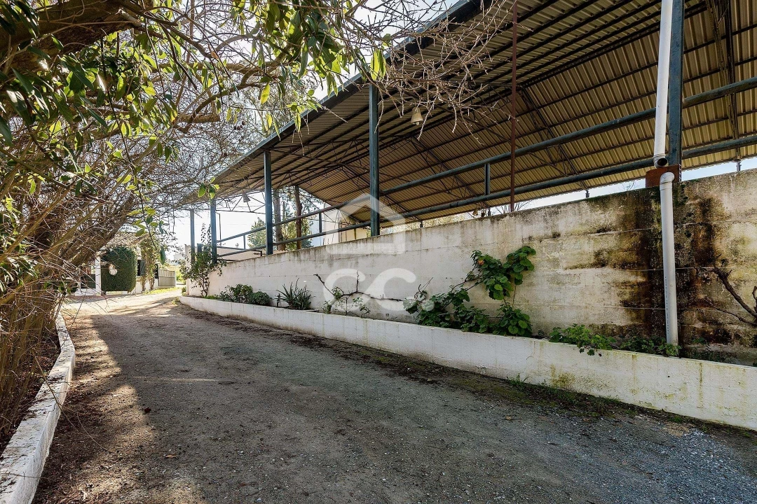 Quinta T10 para Venda em Santo Agostinho e São João Baptista e Santo Amador Foto 71