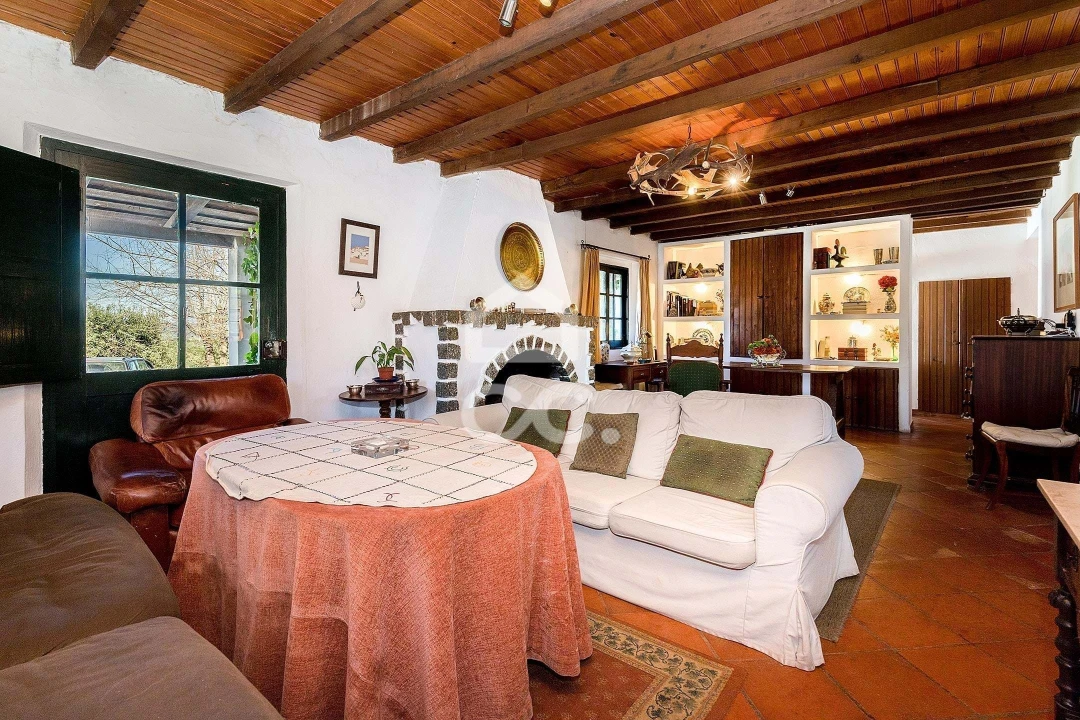 Quinta T10 para Venda em Santo Agostinho e São João Baptista e Santo Amador Foto 50