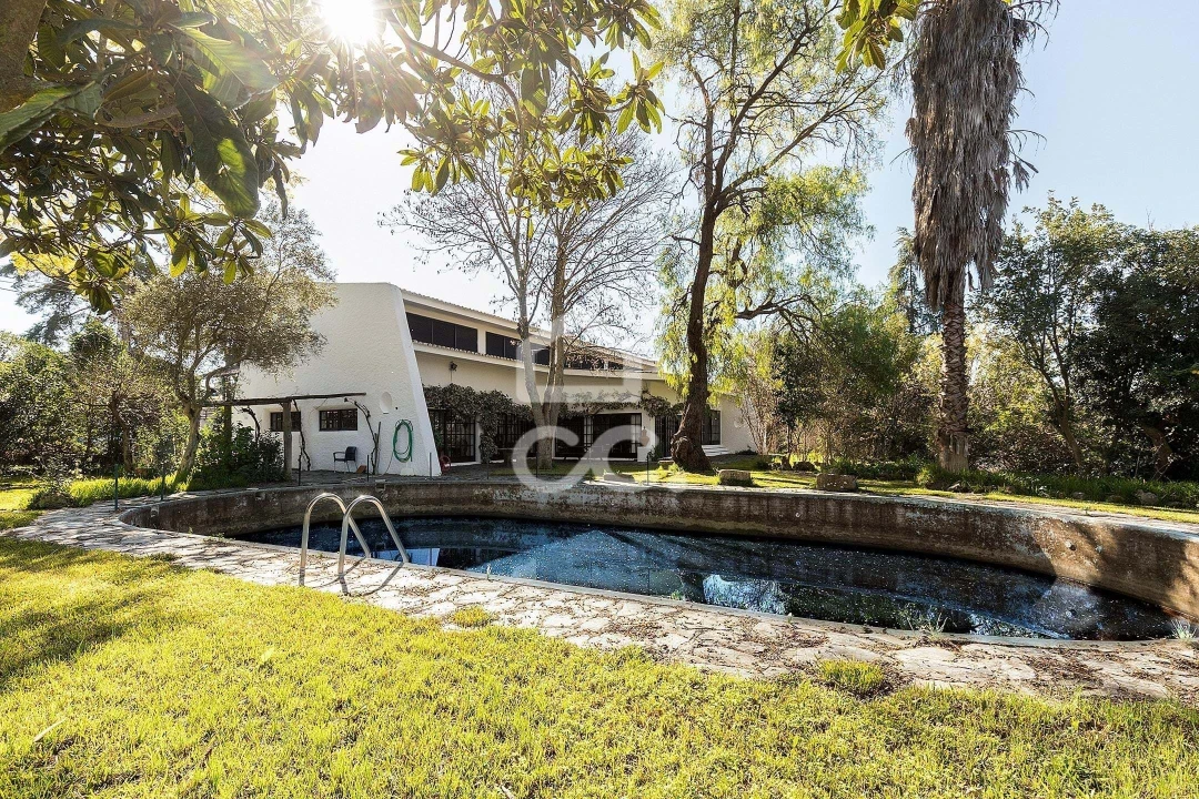 Quinta T10 para Venda em Santo Agostinho e São João Baptista e Santo Amador Foto 2