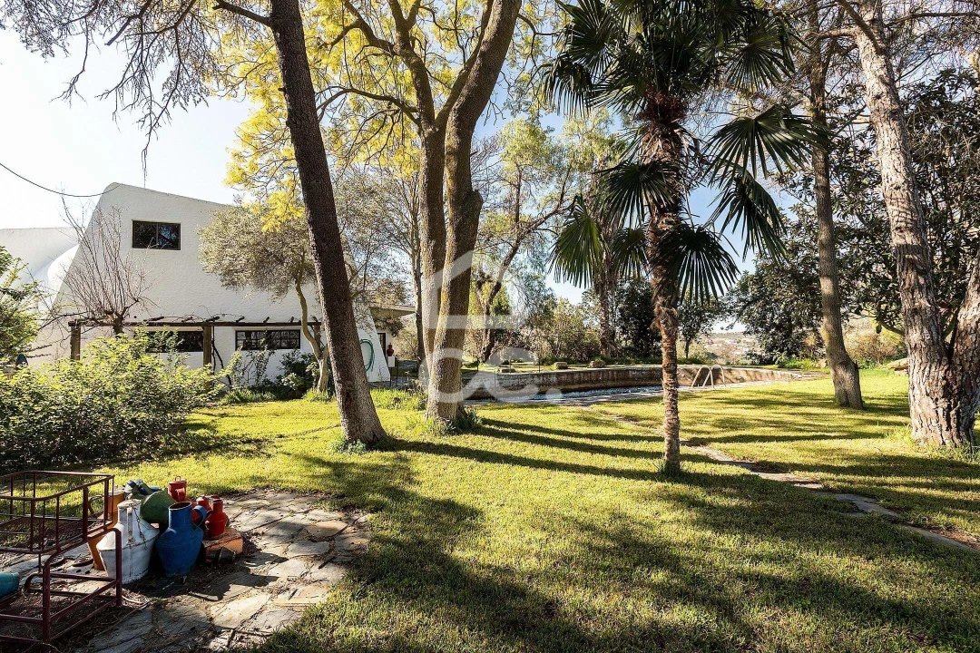 Quinta T10 para Venda em Santo Agostinho e São João Baptista e Santo Amador Foto 58