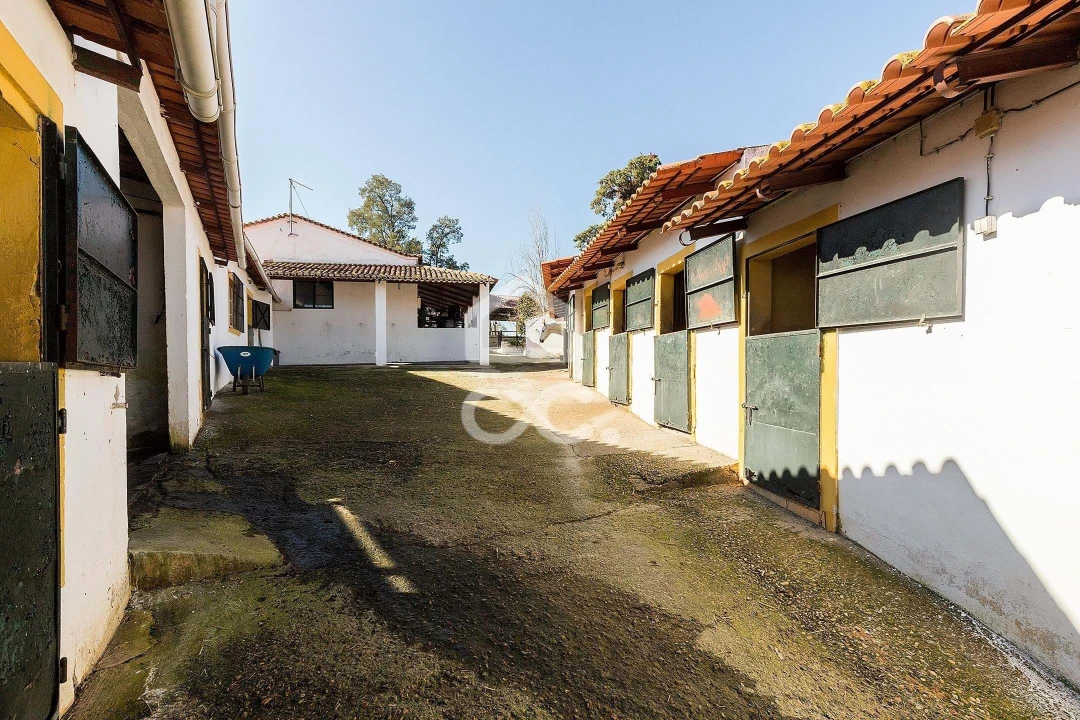 Quinta T10 para Venda em Santo Agostinho e São João Baptista e Santo Amador Foto 68