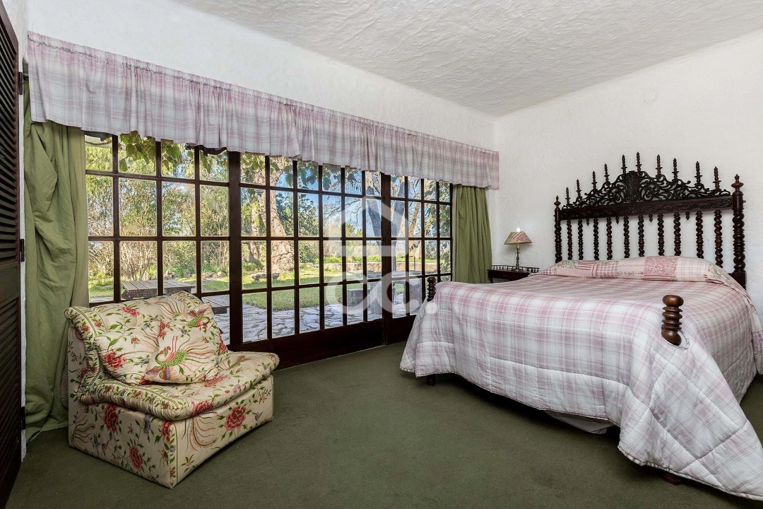 Quinta T10 para Venda em Santo Agostinho e São João Baptista e Santo Amador Foto 23