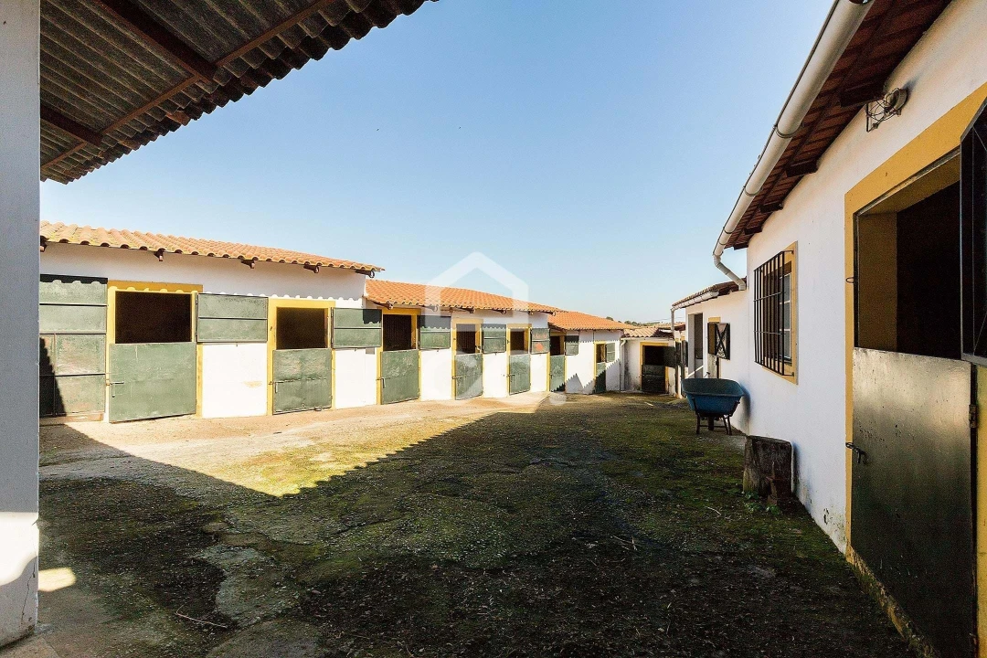 Quinta T10 para Venda em Santo Agostinho e São João Baptista e Santo Amador Foto 66