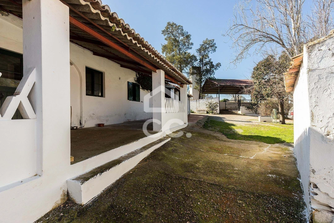 Quinta T10 para Venda em Santo Agostinho e São João Baptista e Santo Amador Foto 74