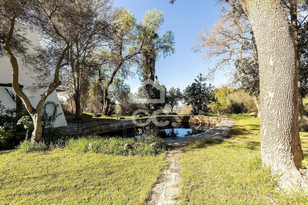 Quinta T10 para Venda em Santo Agostinho e São João Baptista e Santo Amador Foto 57