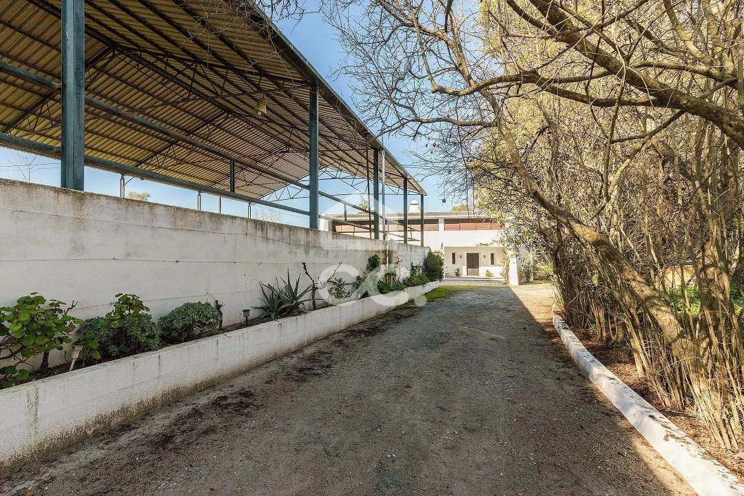 Quinta T10 para Venda em Santo Agostinho e São João Baptista e Santo Amador Foto 72