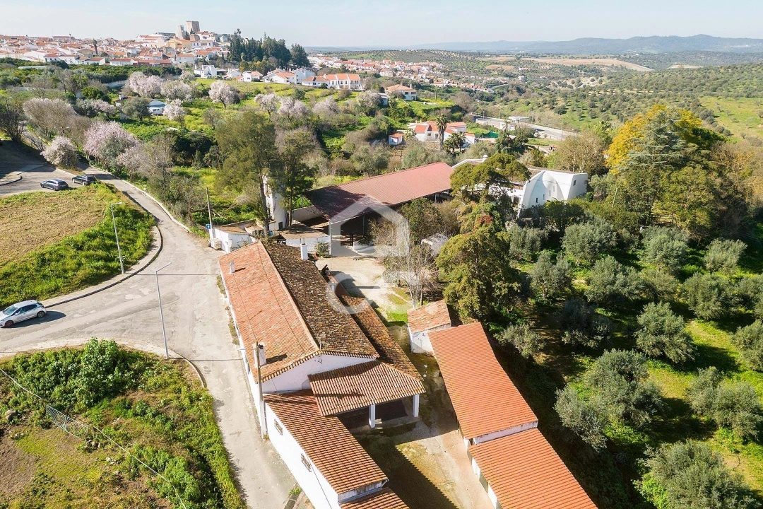 Quinta T10 para Venda em Santo Agostinho e São João Baptista e Santo Amador Foto 86