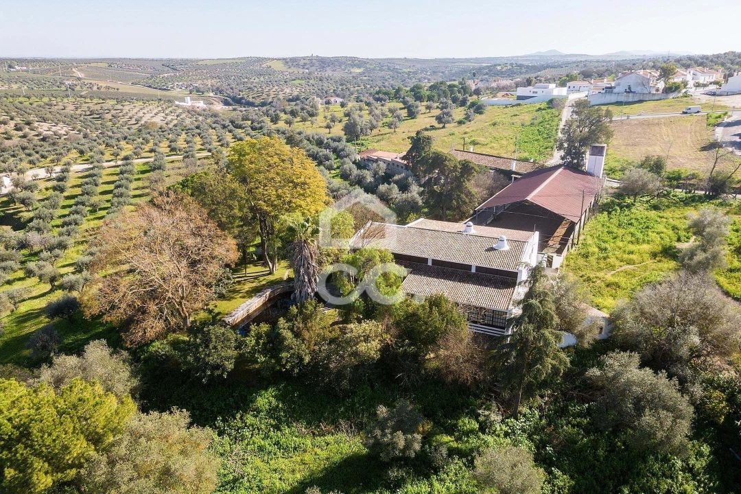 Quinta T10 para Venda em Santo Agostinho e São João Baptista e Santo Amador Foto 97