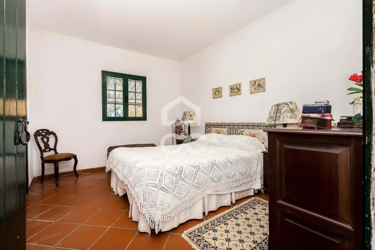 Quinta T10 para Venda em Santo Agostinho e São João Baptista e Santo Amador Foto 52