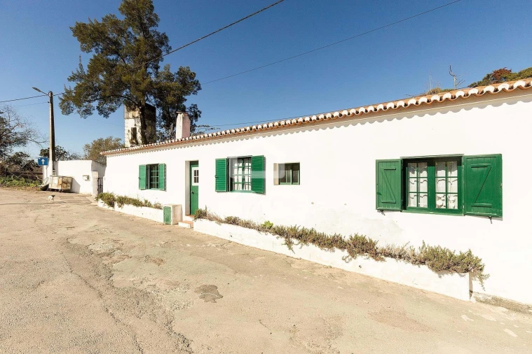 Quinta T10 para Venda em Santo Agostinho e São João Baptista e Santo Amador Foto 47