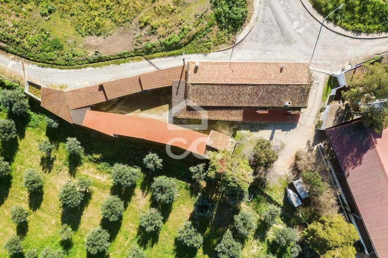 Quinta T10 para Venda em Santo Agostinho e São João Baptista e Santo Amador Foto 81