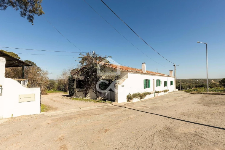 Quinta T10 para Venda em Santo Agostinho e São João Baptista e Santo Amador Foto 80