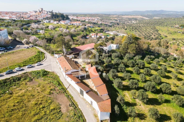 Quinta T10 para Venda em Santo Agostinho e São João Baptista e Santo Amador Foto 85