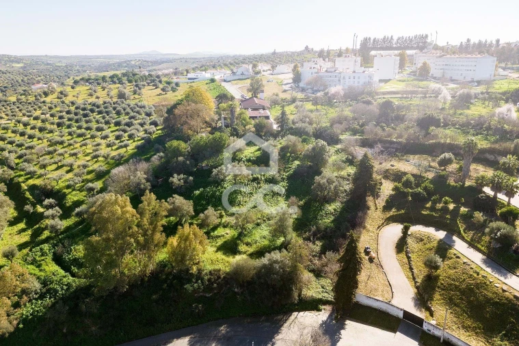 Quinta T10 para Venda em Santo Agostinho e São João Baptista e Santo Amador Foto 94