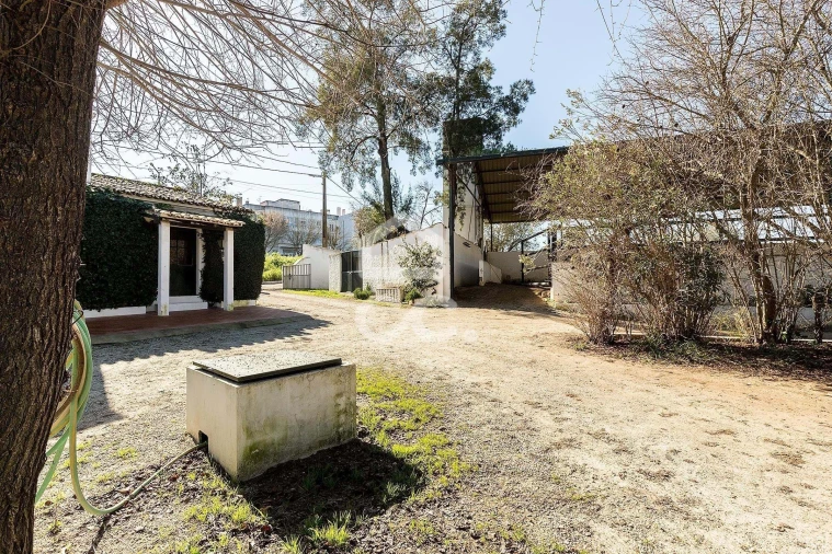 Quinta T10 para Venda em Santo Agostinho e São João Baptista e Santo Amador Foto 73