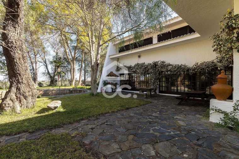 Quinta T10 para Venda em Santo Agostinho e São João Baptista e Santo Amador Foto 43