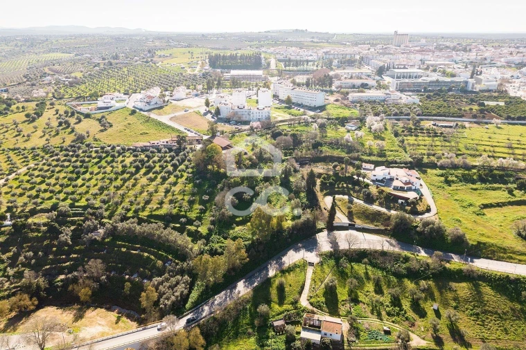Quinta T10 para Venda em Santo Agostinho e São João Baptista e Santo Amador Foto 92