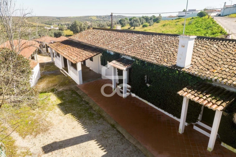 Quinta T10 para Venda em Santo Agostinho e São João Baptista e Santo Amador Foto 41