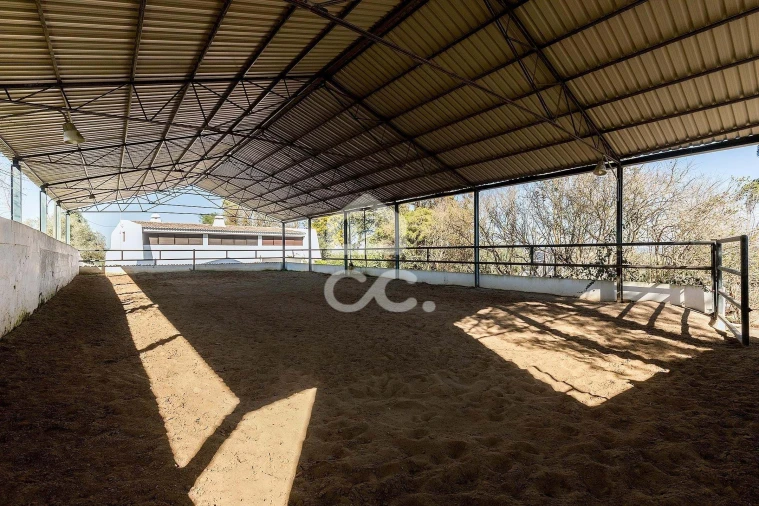 Quinta T10 para Venda em Santo Agostinho e São João Baptista e Santo Amador Foto 64