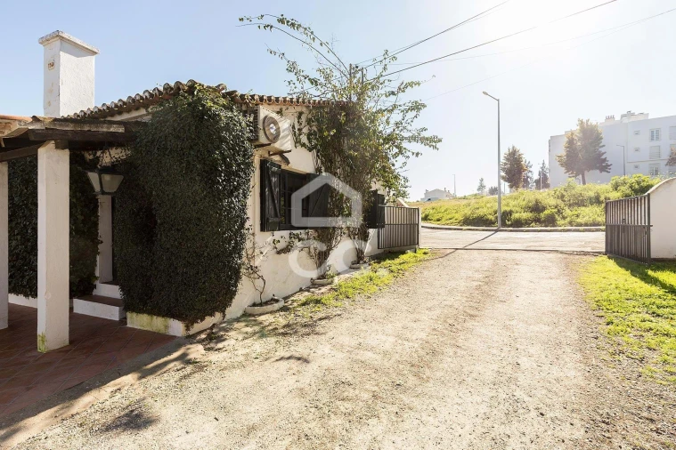 Quinta T10 para Venda em Santo Agostinho e São João Baptista e Santo Amador Foto 109