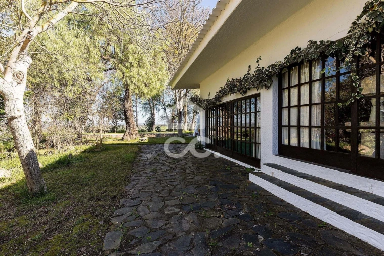 Quinta T10 para Venda em Santo Agostinho e São João Baptista e Santo Amador Foto 44