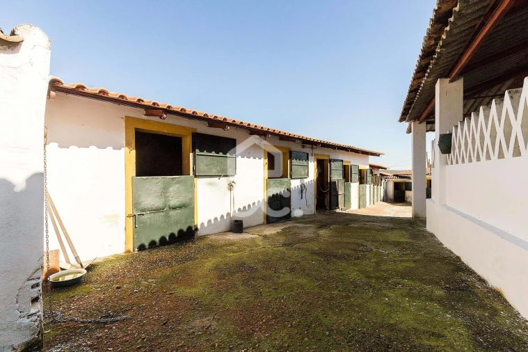 Quinta T10 para Venda em Santo Agostinho e São João Baptista e Santo Amador Foto 67