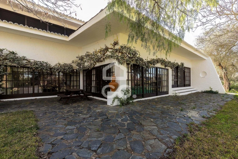 Quinta T10 para Venda em Santo Agostinho e São João Baptista e Santo Amador Foto 77