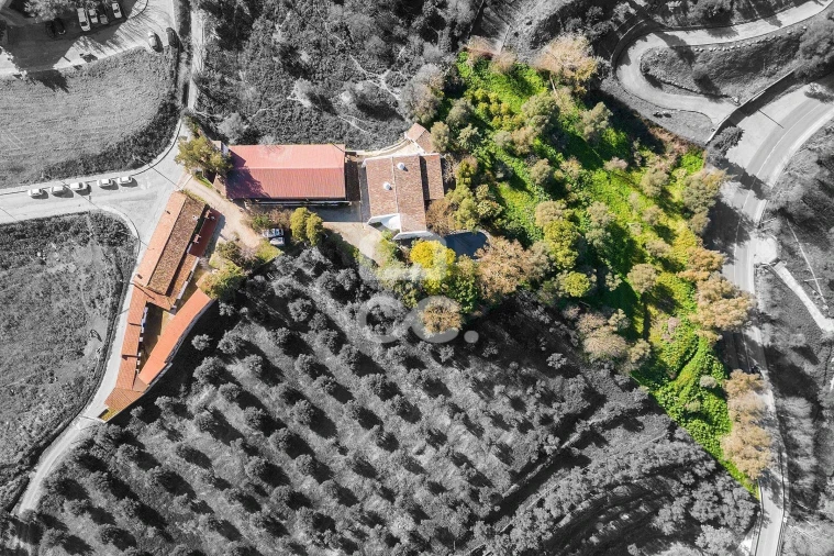 Quinta T10 para Venda em Santo Agostinho e São João Baptista e Santo Amador Foto 82