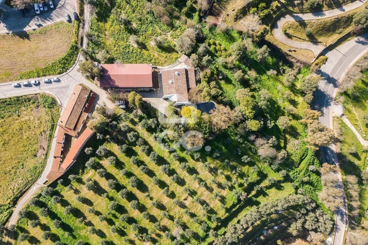 Quinta T10 para Venda em Santo Agostinho e São João Baptista e Santo Amador Foto 84