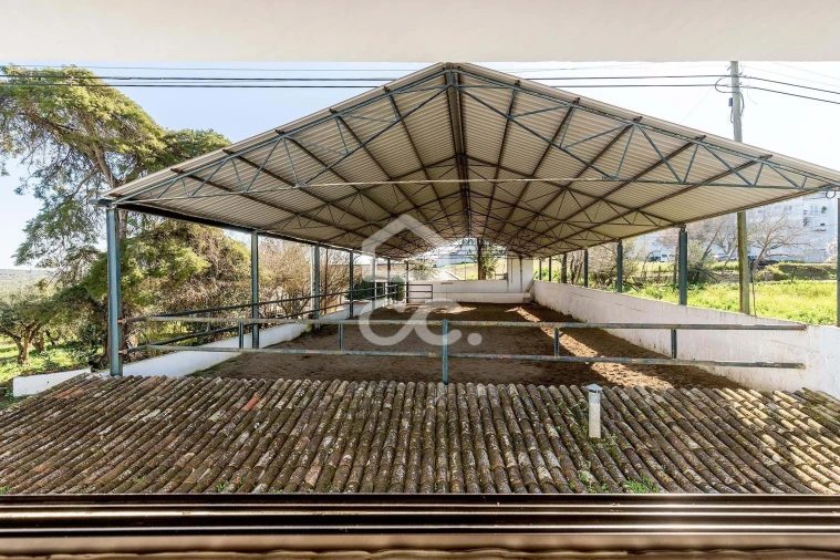 Quinta T10 para Venda em Santo Agostinho e São João Baptista e Santo Amador Foto 65