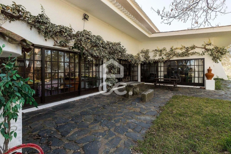 Quinta T10 para Venda em Santo Agostinho e São João Baptista e Santo Amador Foto 42