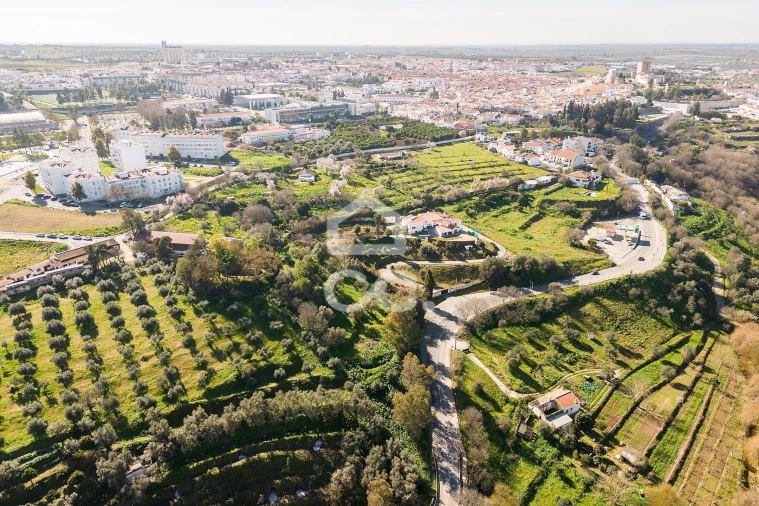 Quinta T10 para Venda em Santo Agostinho e São João Baptista e Santo Amador Foto 91