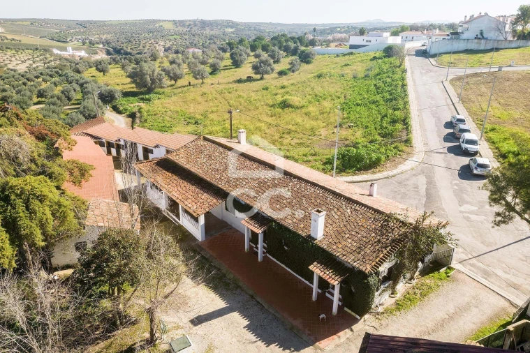 Quinta T10 para Venda em Santo Agostinho e São João Baptista e Santo Amador Foto 4
