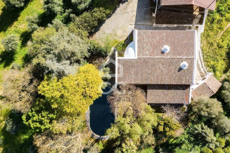 Quinta T10 para Venda em Santo Agostinho e São João Baptista e Santo Amador Foto 99