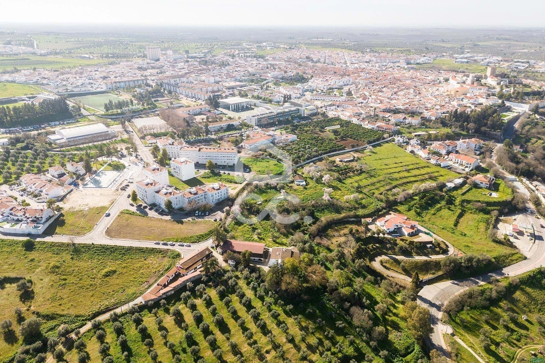 Quinta T10 para Venda em Santo Agostinho e São João Baptista e Santo Amador Foto 90