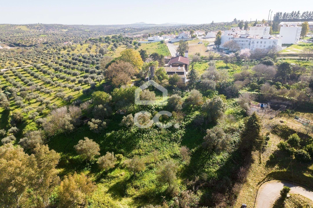 Quinta T10 para Venda em Santo Agostinho e São João Baptista e Santo Amador Foto 95