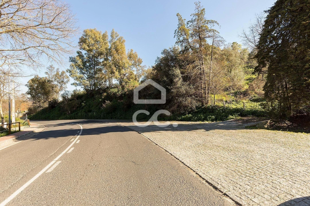 Quinta T10 para Venda em Santo Agostinho e São João Baptista e Santo Amador Foto 102