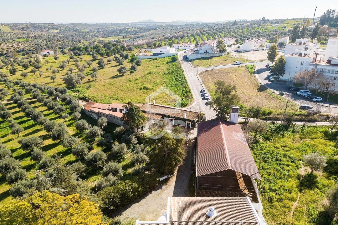 Quinta T10 para Venda em Santo Agostinho e São João Baptista e Santo Amador Foto 100