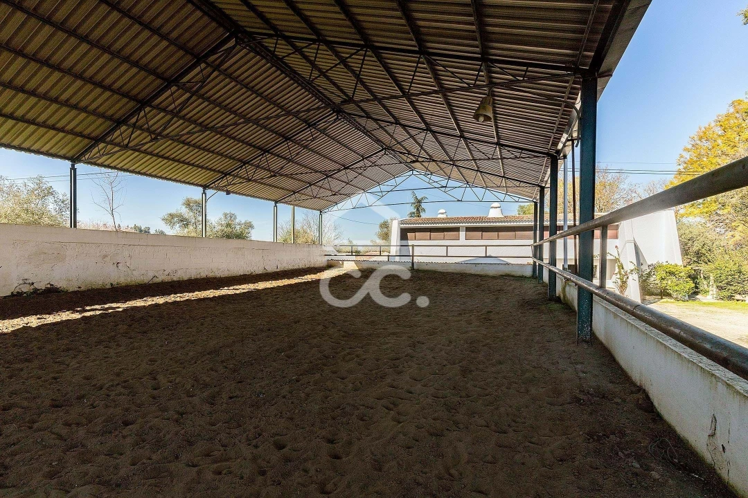 Quinta T10 para Venda em Santo Agostinho e São João Baptista e Santo Amador Foto 63