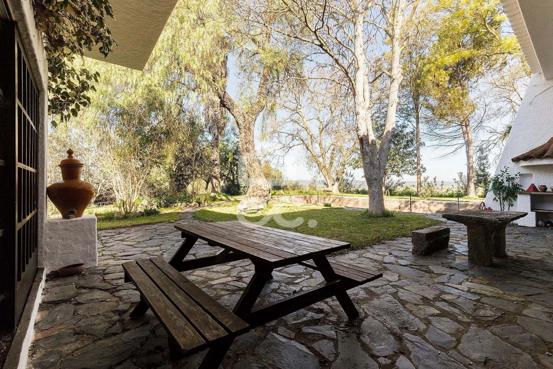 Quinta T10 para Venda em Santo Agostinho e São João Baptista e Santo Amador Foto 45