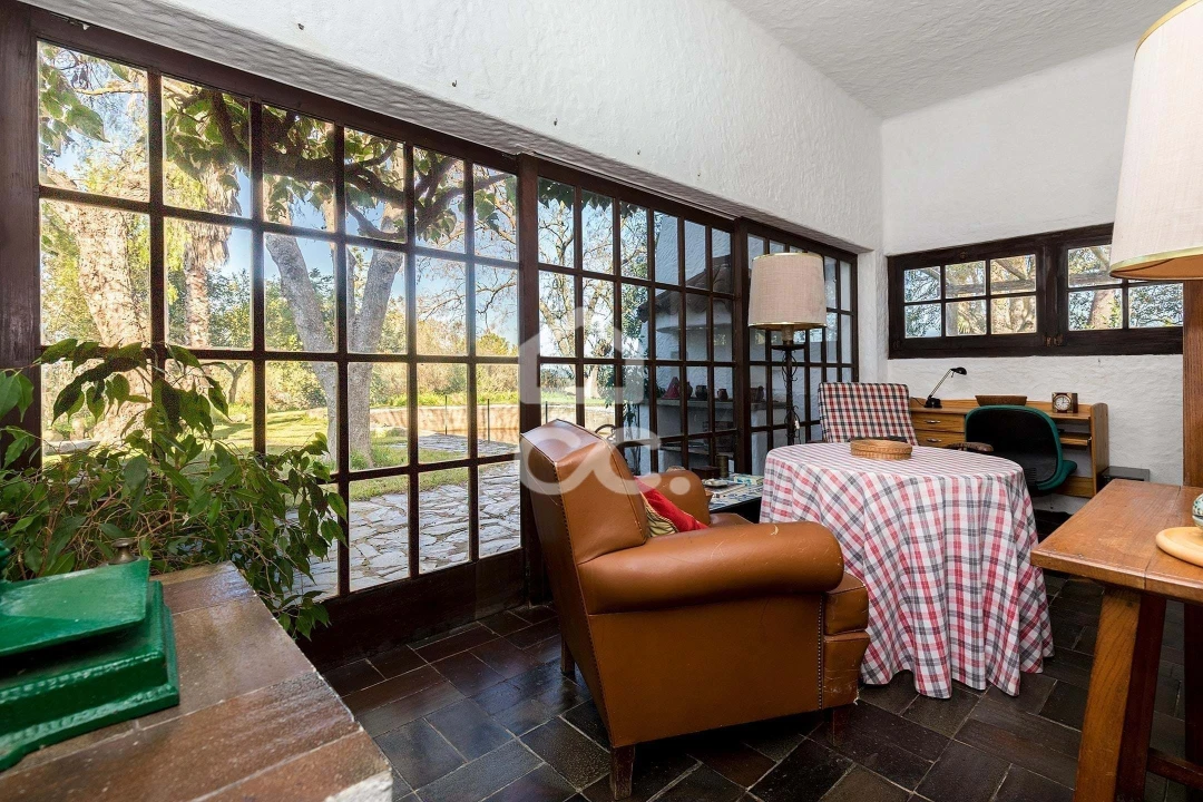 Quinta T10 para Venda em Santo Agostinho e São João Baptista e Santo Amador Foto 16