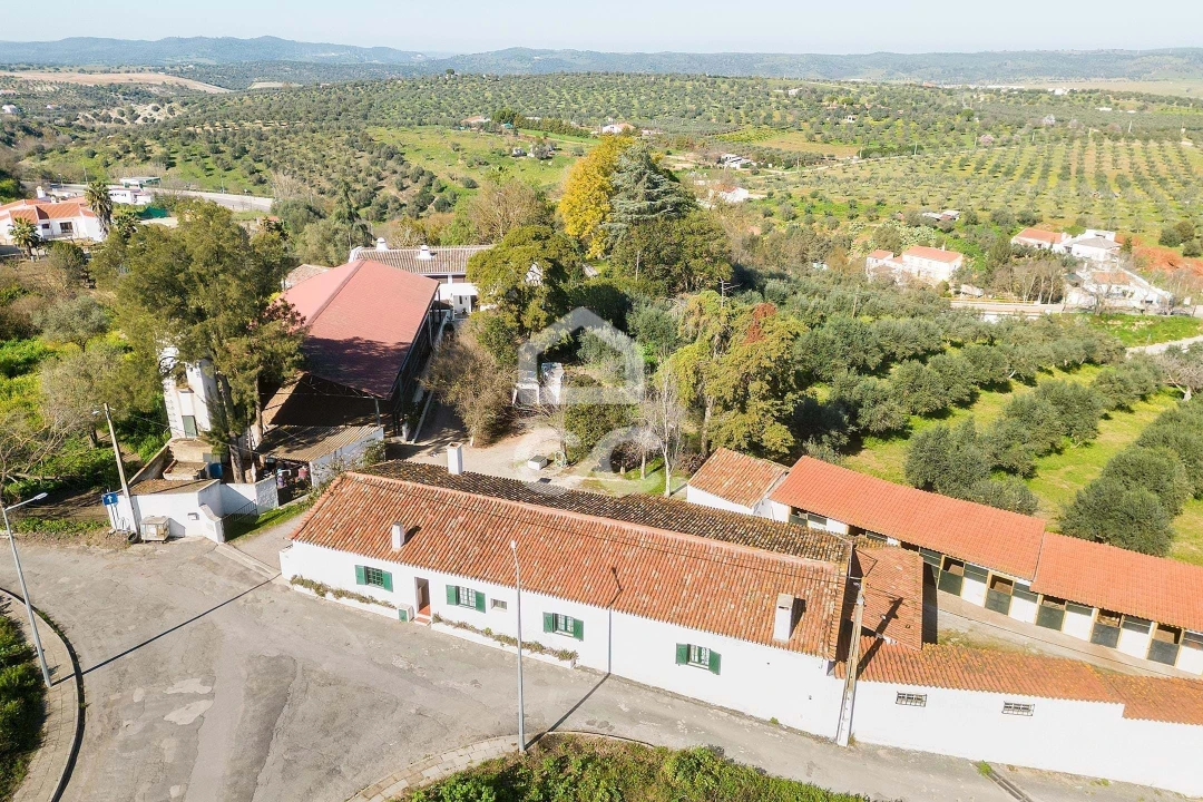 Quinta T10 para Venda em Santo Agostinho e São João Baptista e Santo Amador Foto 88