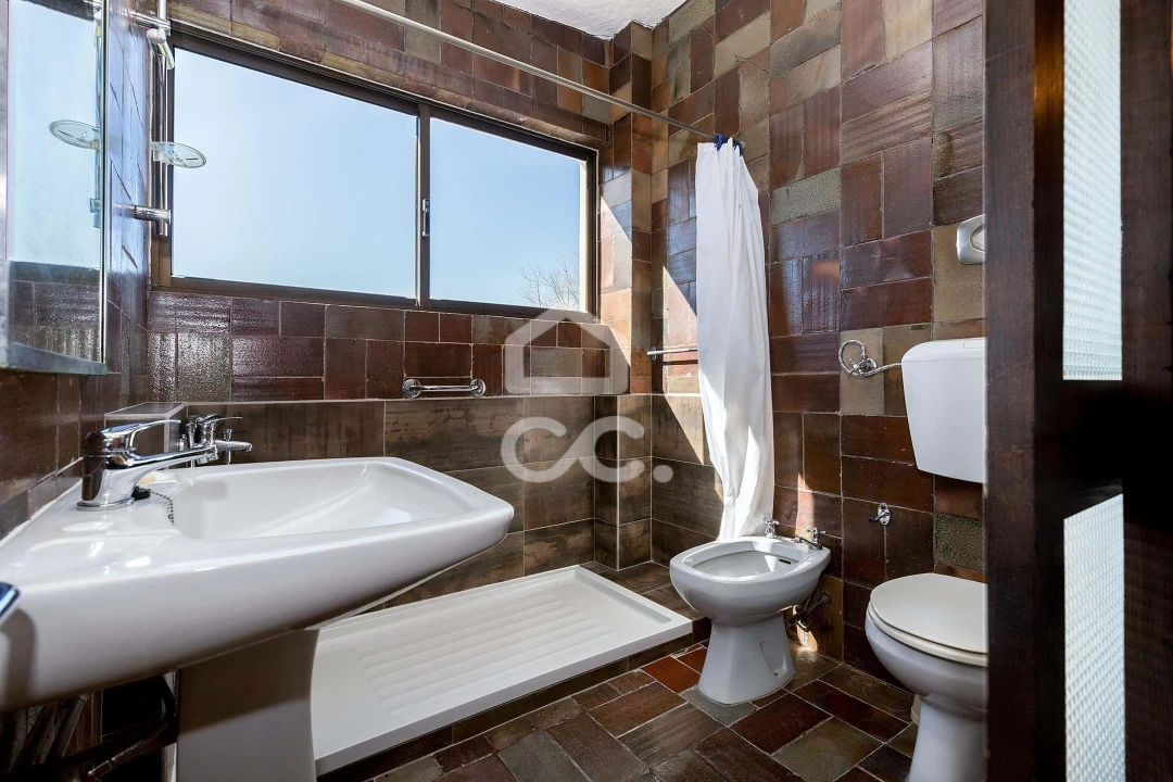 Quinta T10 para Venda em Santo Agostinho e São João Baptista e Santo Amador Foto 29