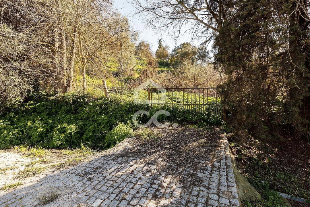 Quinta T10 para Venda em Santo Agostinho e São João Baptista e Santo Amador Foto 103